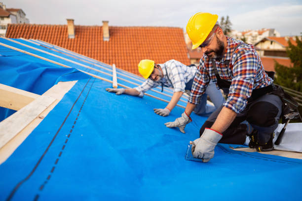 Best Roof Moss and Algae Removal  in Isla Vista, CA